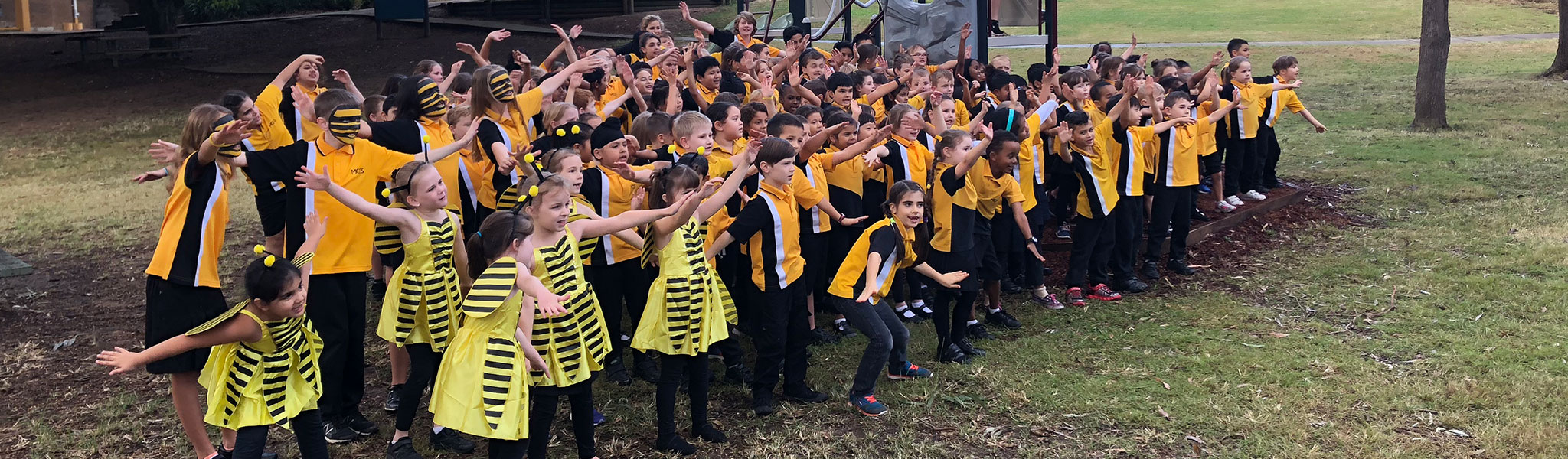 Mount Gravatt State School students dressed up as bees